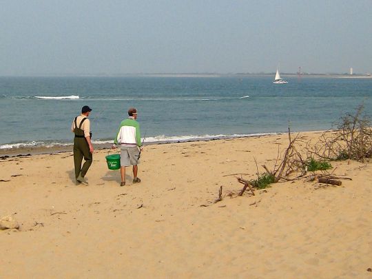 Pêche sur les plages