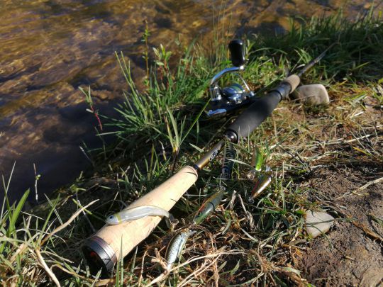 Pêche aux leurres en début de saison