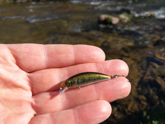 Pêcher la truite aux leurres