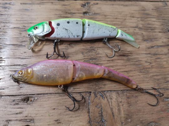 Les swimbaits, dans peu d'eau ou dessus des parcs à huîtres sont très efficaces pour la pêche du bar en linéaire