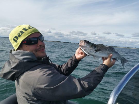 Bar pris avec un flashminnow 110sp lors d'une pause