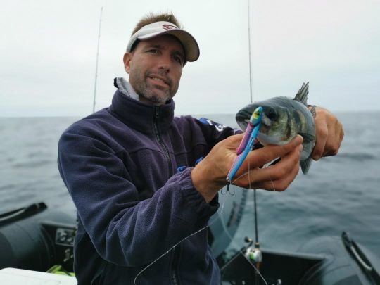 Pour pêcher vite et prospecter, les lames vibrantes sont un excellent outil.