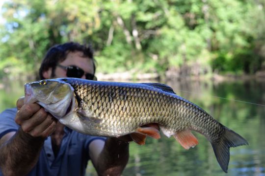 Señuelos de pesca en blanco