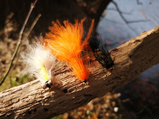 Incontournable Woolly Bugger pour pêcher en réservoir