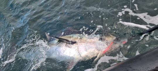 En 2021 fixez vous des challenges.