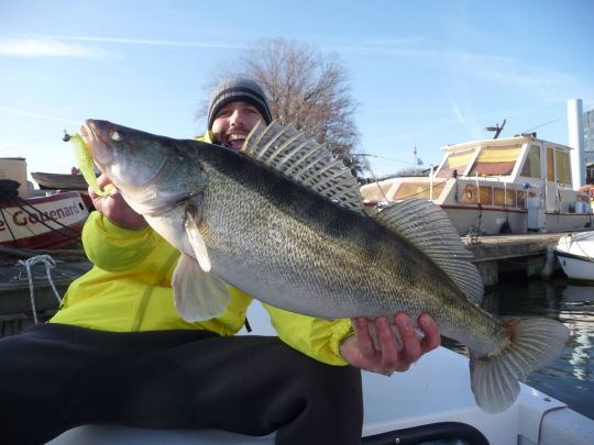 Les coloris flashy sont davantage visibles dans une eau teintée.