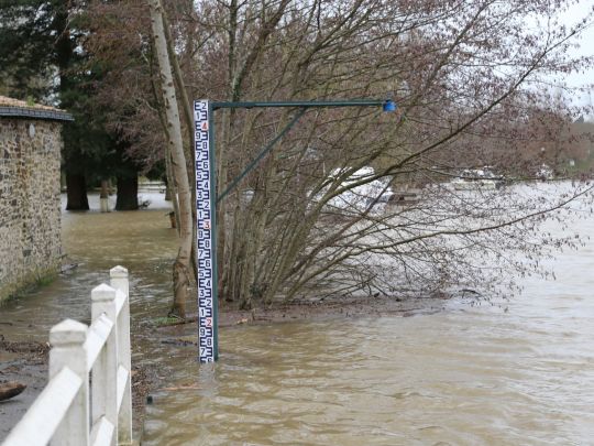 Chaque spot fonctionne de manière particulière et bien souvent en fonction du niveau de la crue. Essayez à différents moments !