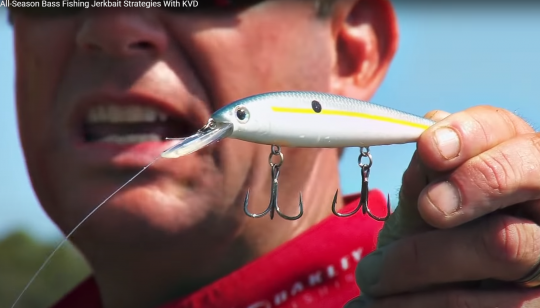 Kevin VanDam ne fait pas dans la finesse lui !