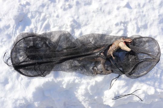 Le « piketube » distribué par Pafex.