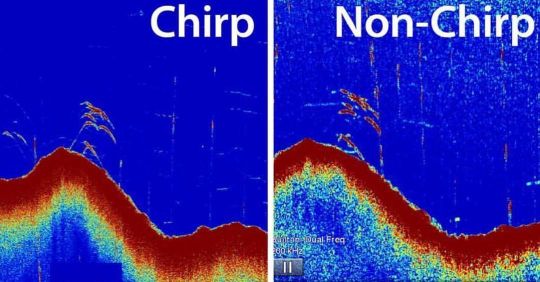 Détection de poissons avec et sans CHIRP.