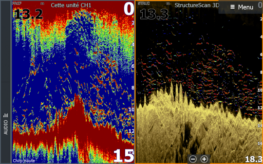 Pour rendre plus simple l'interprétation des échos sondeur, partagez votre sondeur en 2 vues avec d'un côté le 2D et de l'autre le FishReveal.