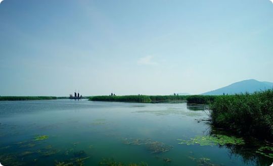 La taille des bancs de poissons et des individus qui le composent dépend de la richesse du milieu qui les abrite.