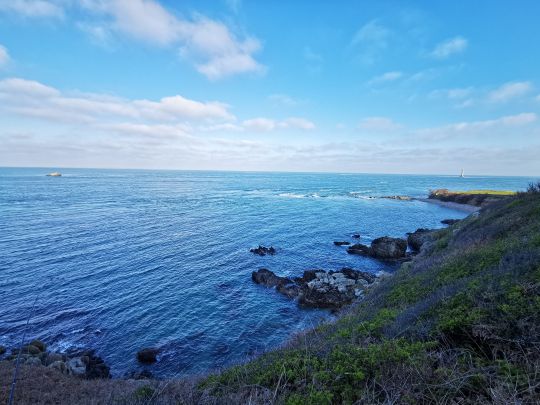 Prendre de la hauteur, lorsque cela est possible, permet de mieu appréhender les zones de pêche comme ici au cap de la Hague dans le nord Cotentin.