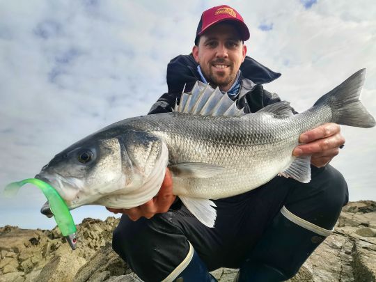 Un vent frais et soutenu... de bonnes conditions pour espérer piquer un joli bar du bord.