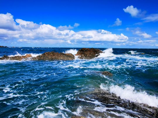 Les zones brassées par les vagues sont des spots très intéressants pour y piquer un joli poisson.
