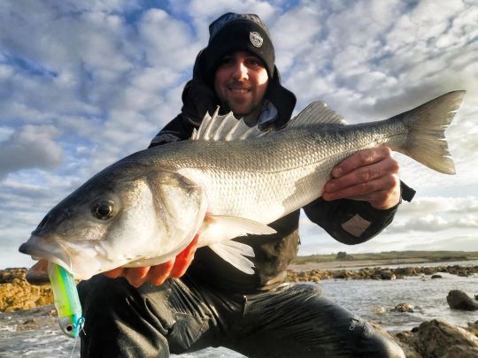 Un Black Minnow de FIIISH, lancé dans la mousse aura eu raison de ce joli bar du Cotentin.