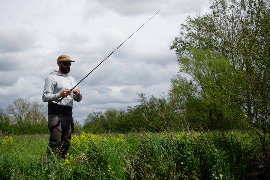 Une récupération canne haute permet de faire évoluer les jerkbait minnows dans très peu d'eau (50 cm environ).