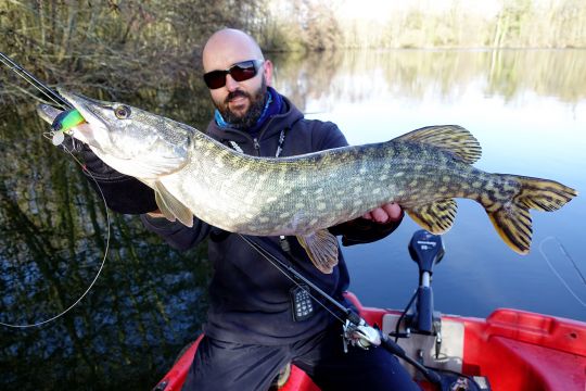 Brochet d'hiver leurré au plus "chaud" de la journée sur un Rerange 130 SP coloris Mat Tiger. ©Thierry Lecouple