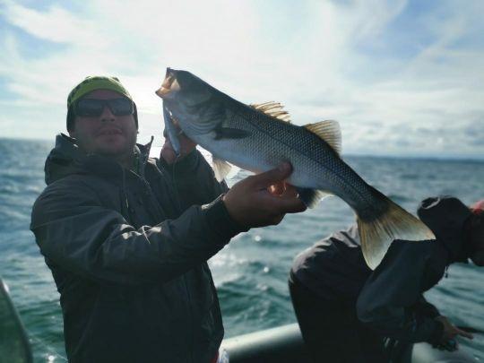 La pêche au poisson nageur est loin d'être désuète et nombreux sont ceux qui y reviennent. 