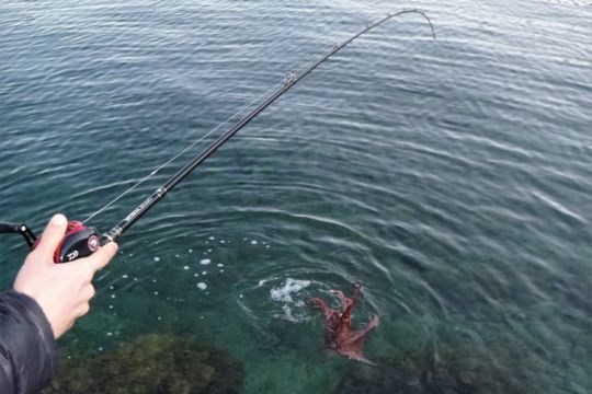 Toujours le contrôle avec un seul doigt