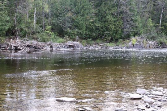 Fausse à saumon.