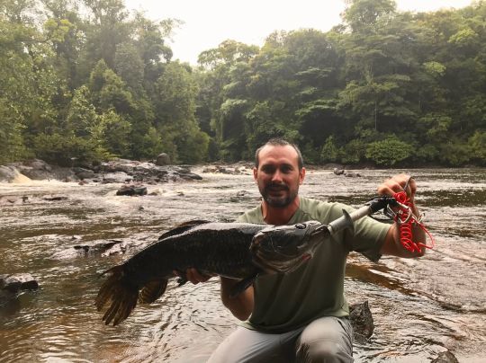 En observant le milieu et en pensant comme un prédateur, on peut tenter de deviner où il se cache.