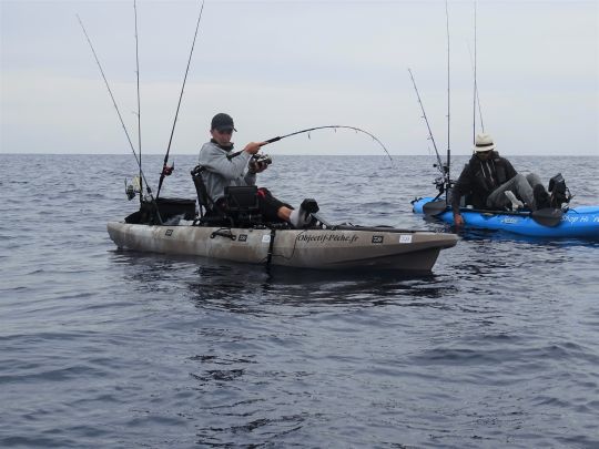 Pêcher la sériole en kayak