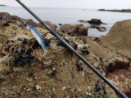 Les shads sont des leurres rassurants parce que faciles à utiliser.
