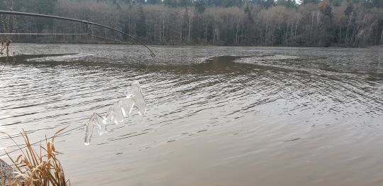 Dans ma région, l'hiver est souvent rude.