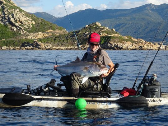 De gros poissons à portée de cannes