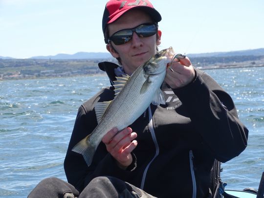 Un loup au leurre souple