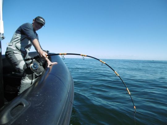 Pour les pêches fortes, comme ici le thon rouge, l'usage d'anneaux bipattes est obligatoire et il est recommandé d'utiliser une céramique en Sic.