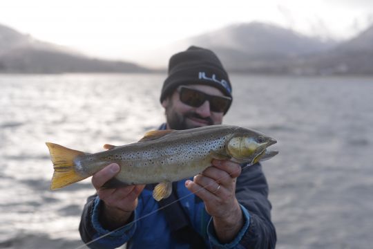 Les gros poissons peuvent être très actif en lac durant l'ouverture.