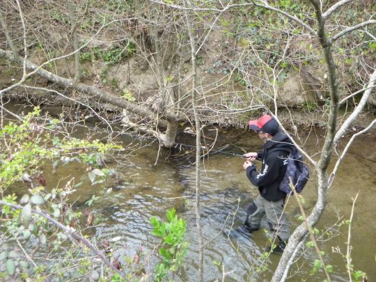 Rechercher uniquement la truite sauvage