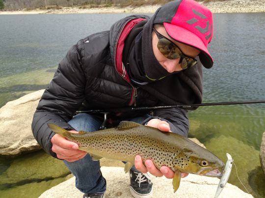 Un poisson de 35cm n'a pas peur d'un leurre de 8cm !