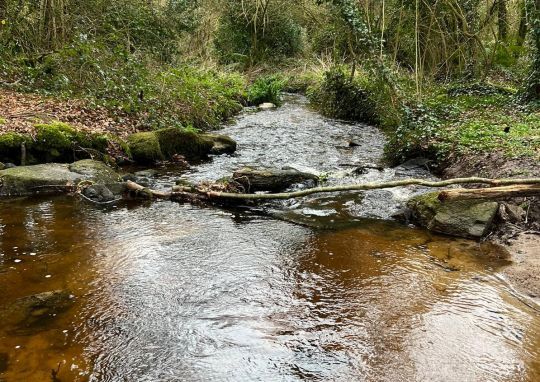 Quelques jours avant l'ouverture, l'eau est relativement claire et le niveau assez bas pour un mois de mars.