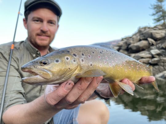 Lorsque les poissons s'activent au coup du soir, la pêche à darter devient redoutable