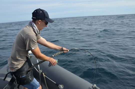 Combat avec un gros poisson