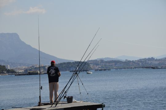 La pêche au posé à plusieurs cannes