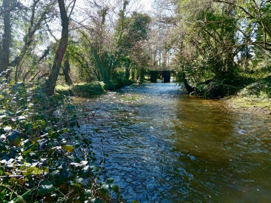 Bien en amont de la zone ciblée dans la semaine, l'eau est moins tintée.