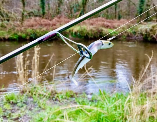 En commençant avec un Black Minnow 70 coloris Vairon, je joue la sécurité. Cette valeur sûre a déjà fait ses preuves.