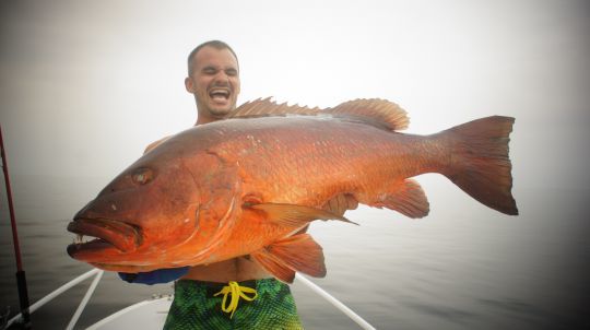 La joie du pêcheur