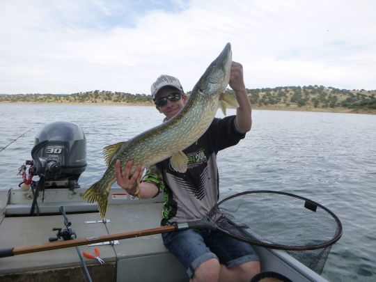 Un poisson posté à 6 mètres sous la surface c'est laissé tenter !