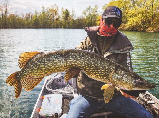 Des blanks parfait pour le brochet