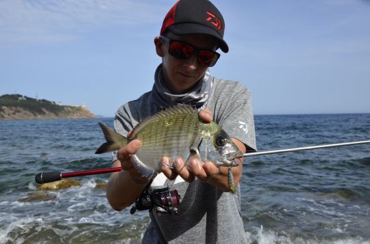 Un joli poisson sur un leurre coulant de 5 cm