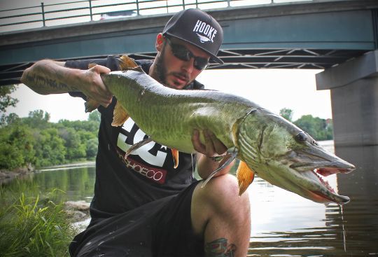 Maskinongé ou Musky.