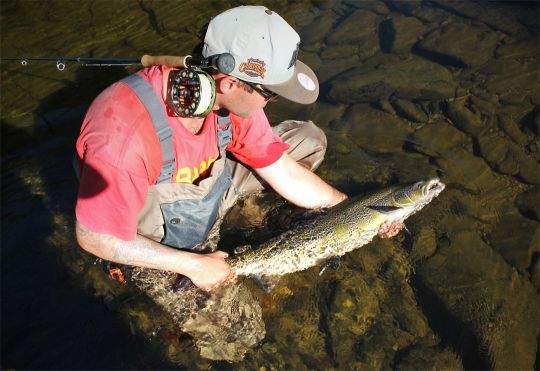 Le saumon atlantique est une espèce que je recommande d'essayer !