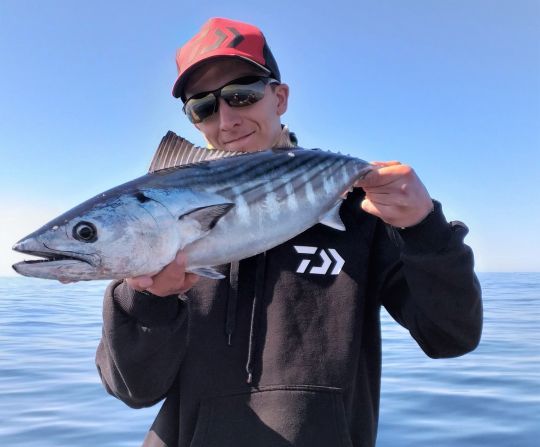 Faire venir les poissons à vous