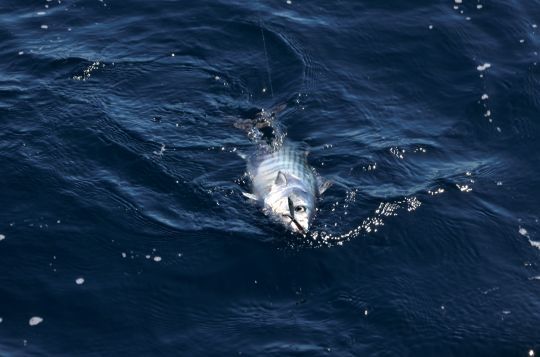 Trouver les zones de passage