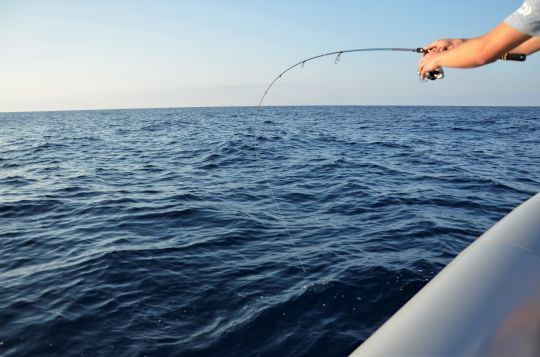 Un ensemble adapté, léger et résistant